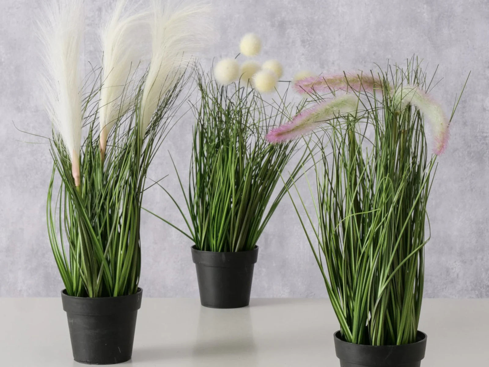 Potted succulent plant, set of 3