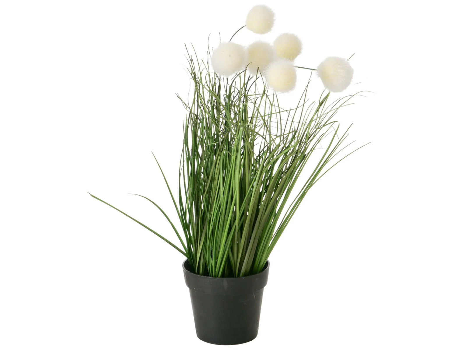 Potted succulent plant, set of 3