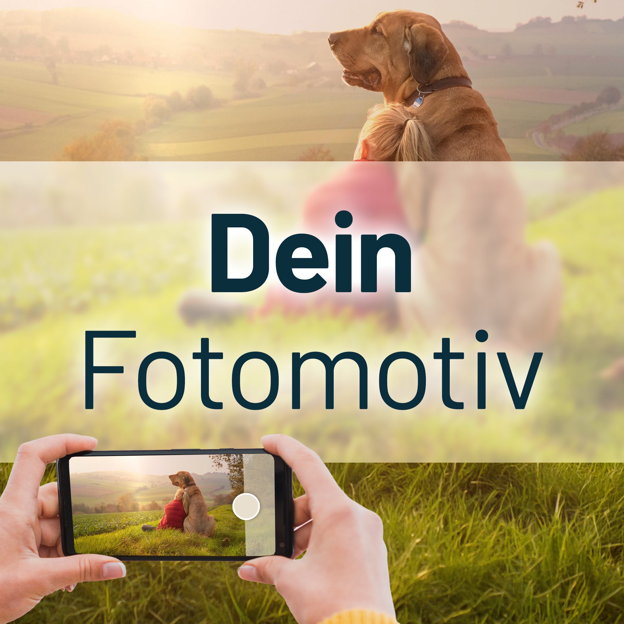Personalisiertes Sonnensegel
