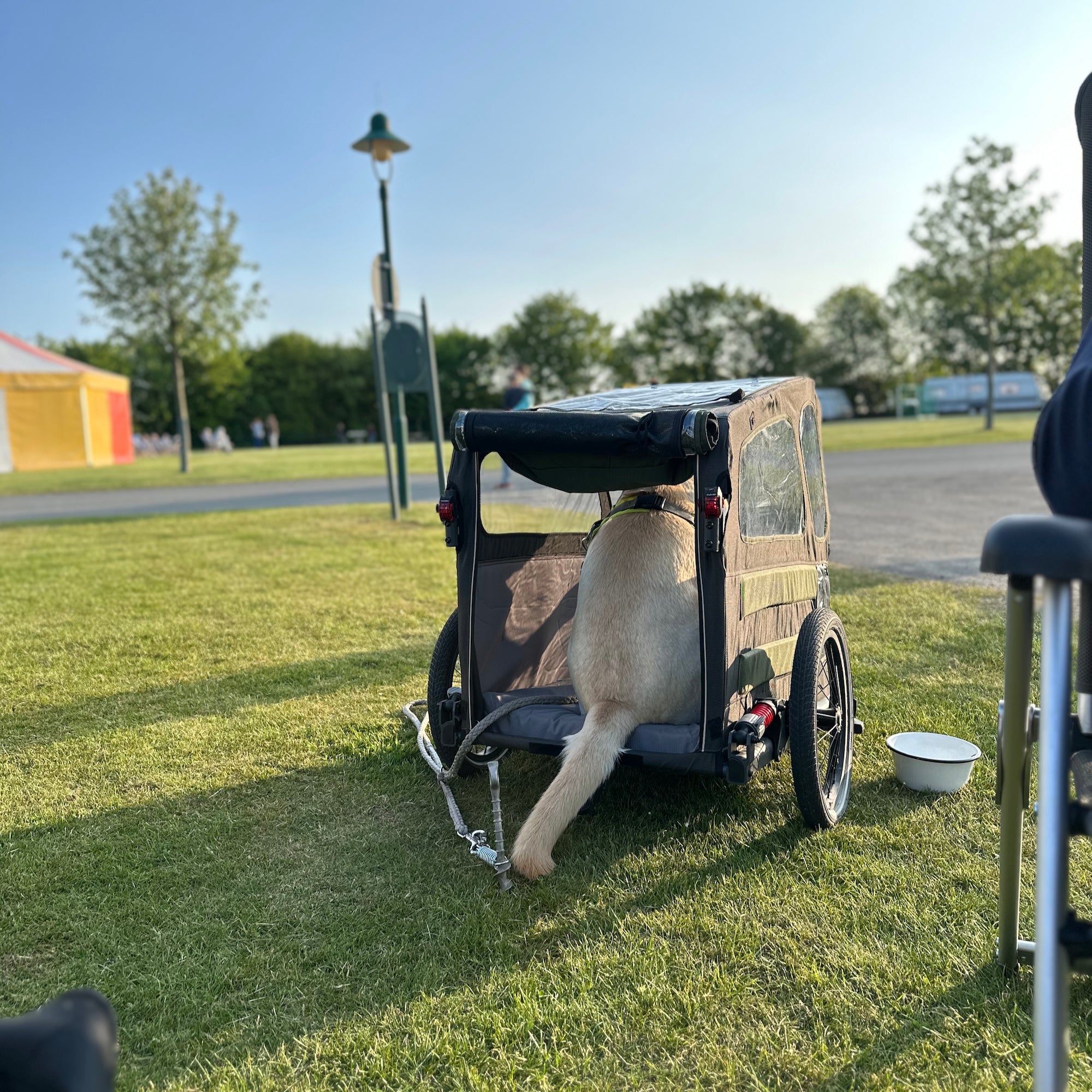 Fahrrad Hundeanhänger TaxxiDog mit einem Hund drinnen offen