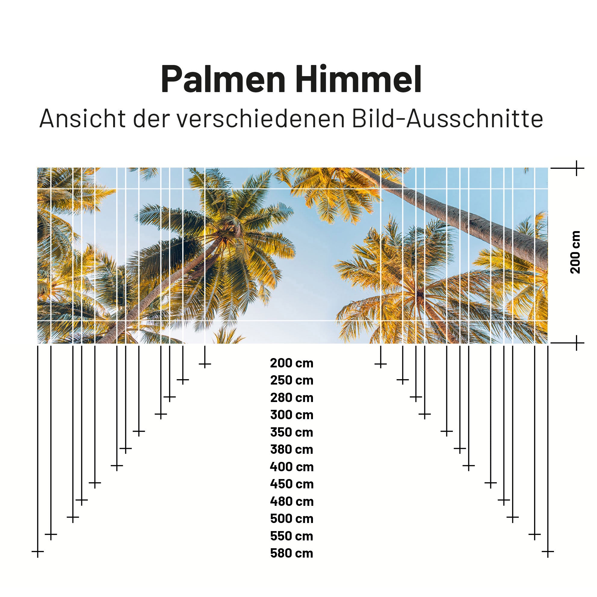 Sonnensegel PALMEN HIMMEL