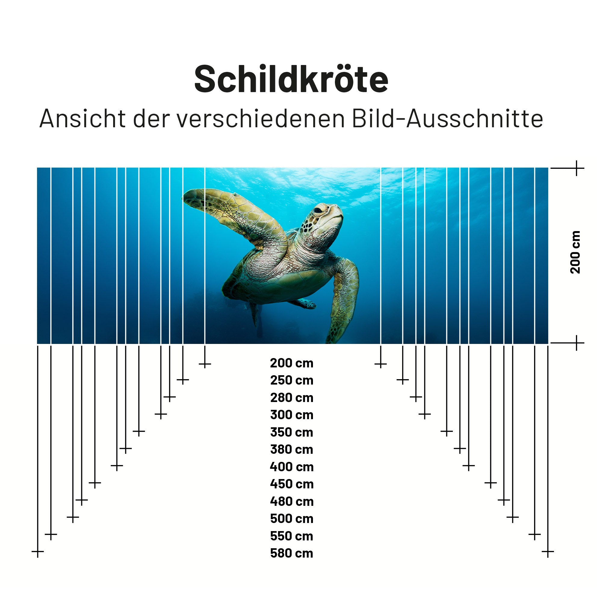 Sonnensegel SCHILDKRÖTE