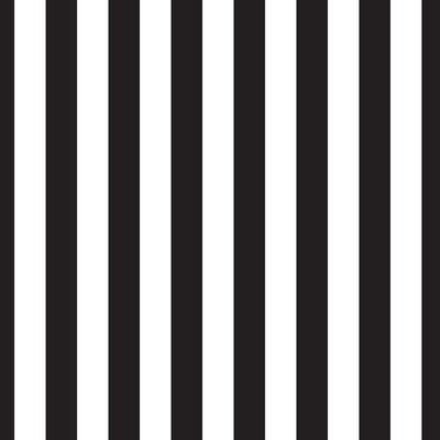 Sonnensegel STRIPE Weiß/Schwarz