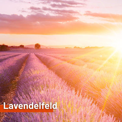 Sonnensegel LAVENDELFELD