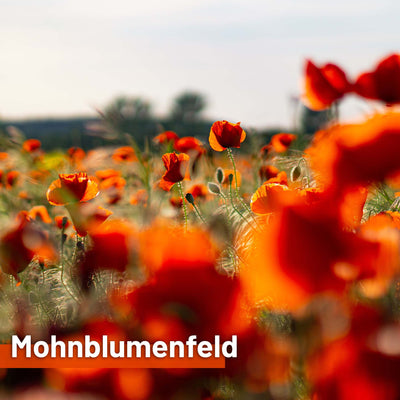 Textile sun sail POPPY FIELD 200cm high