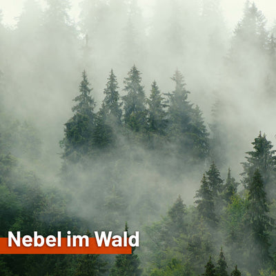 Textile sun sail FOG IN THE FOREST 200cm high