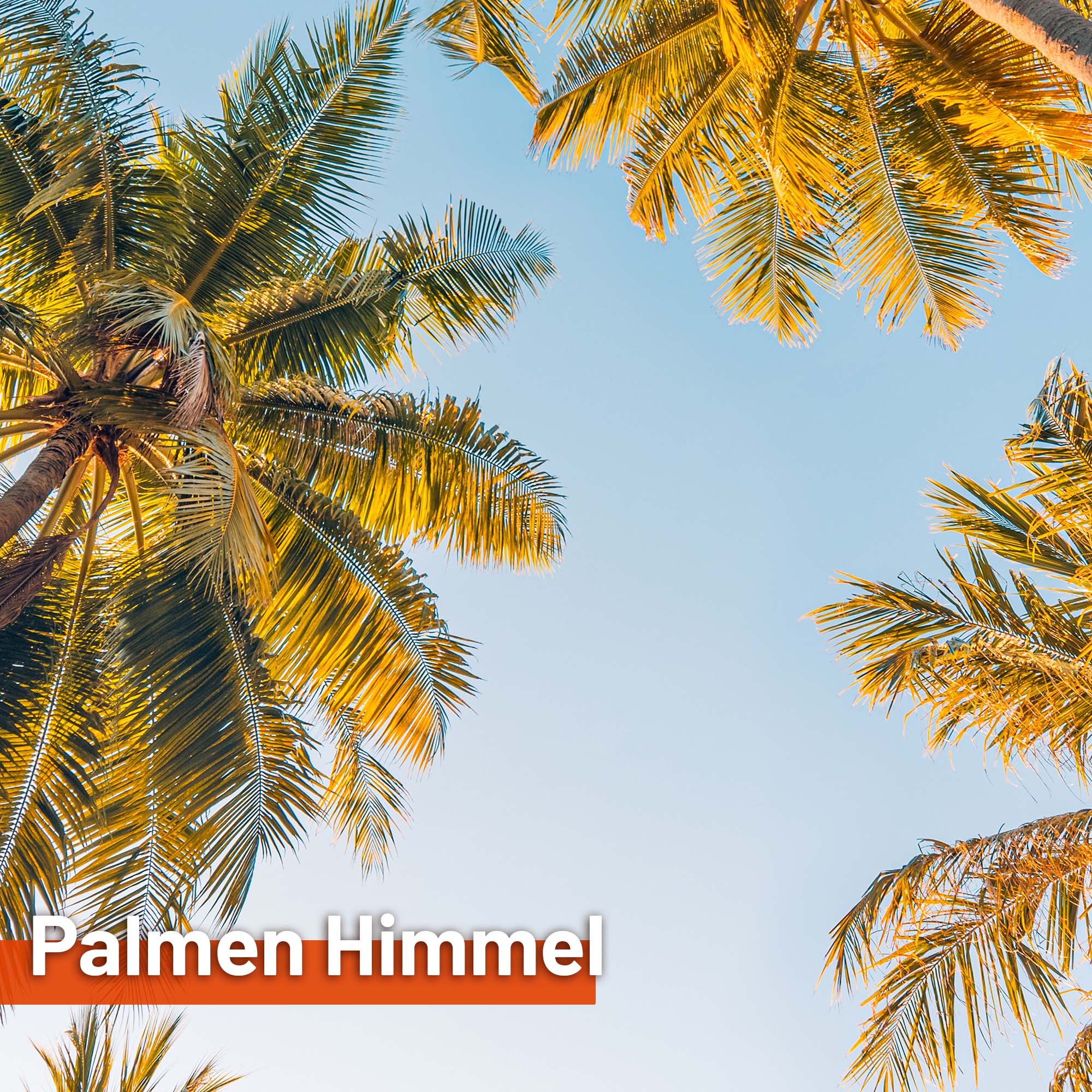 Sonnensegel PALMEN HIMMEL