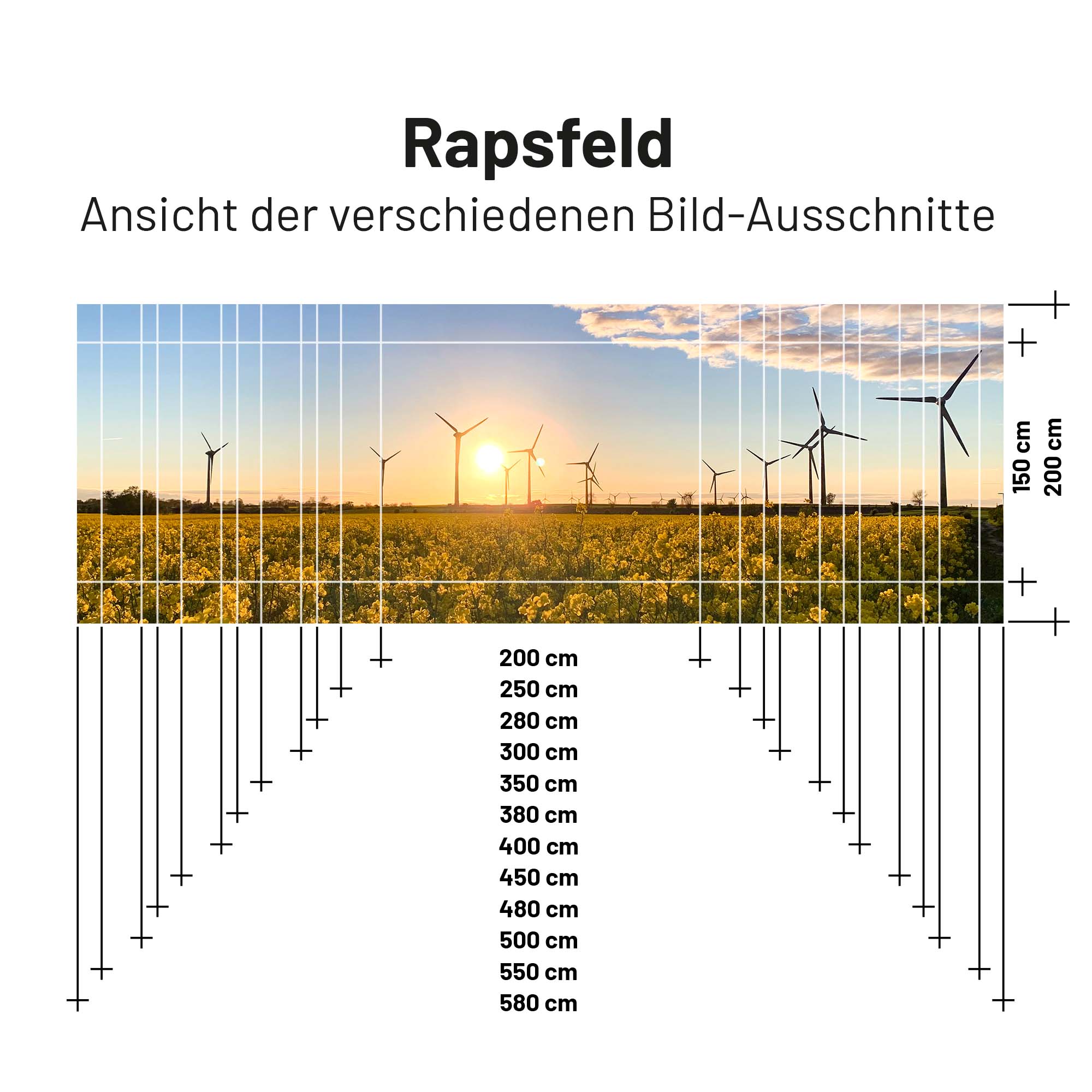 PVC Camping Markisen -Sonnenschutz - Motiv RAPSFELD 1,5m x 3,0m - Abverkauf
