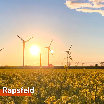 Textile sun sail RAPSFELD 200cm high