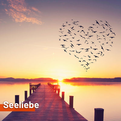 Sonnensegel SEELIEBE