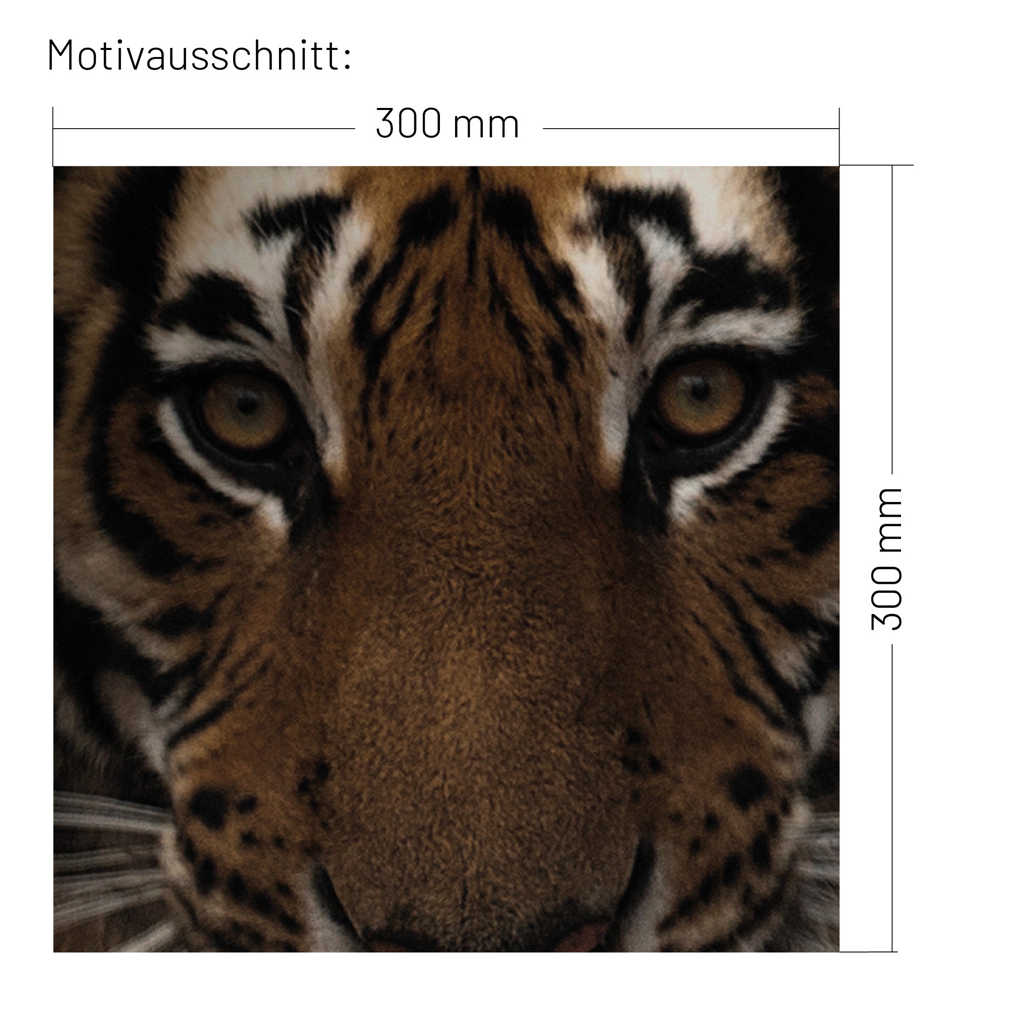 XXL Wand Dekorfolie "Tiger"
