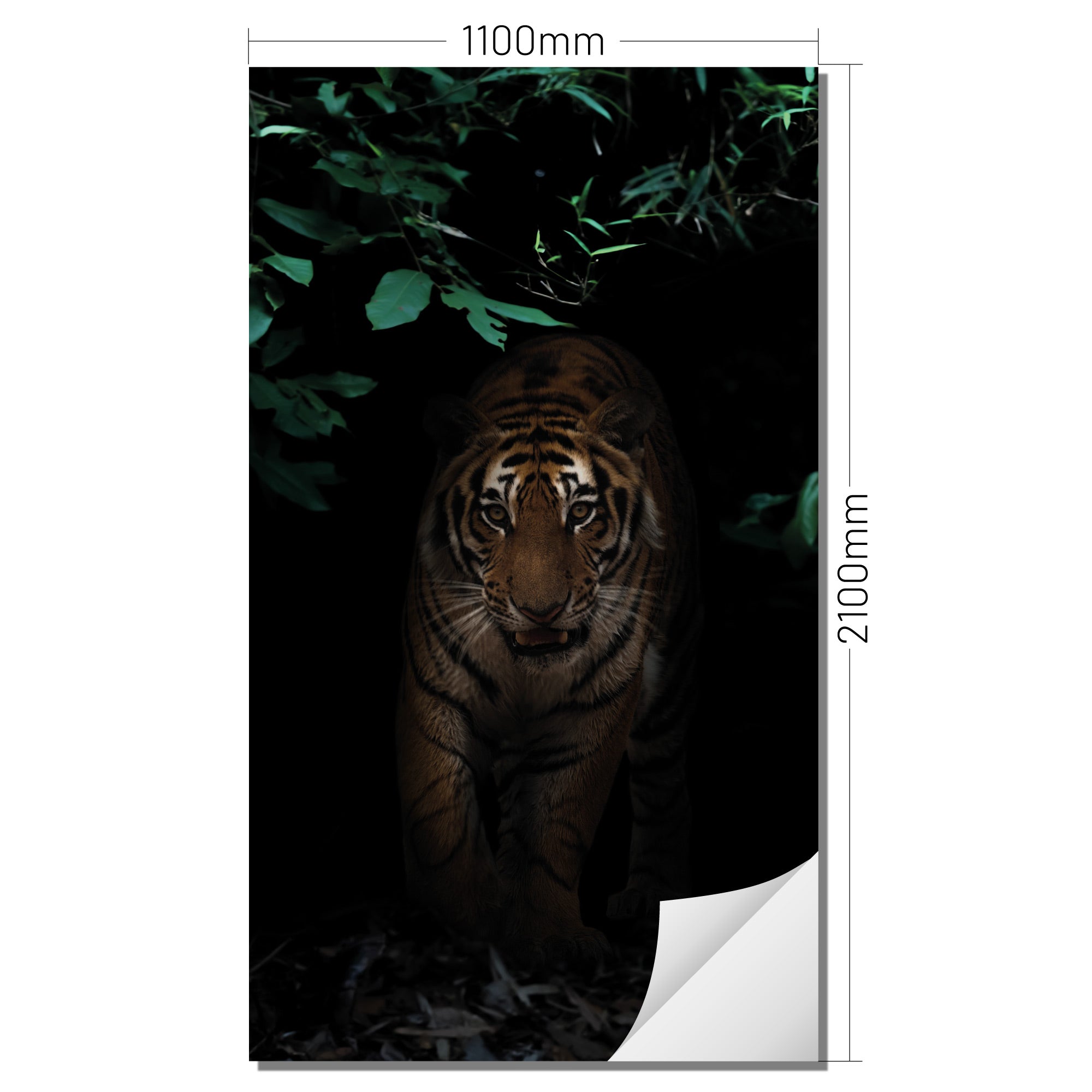 XXL Wand Dekorfolie "Tiger"