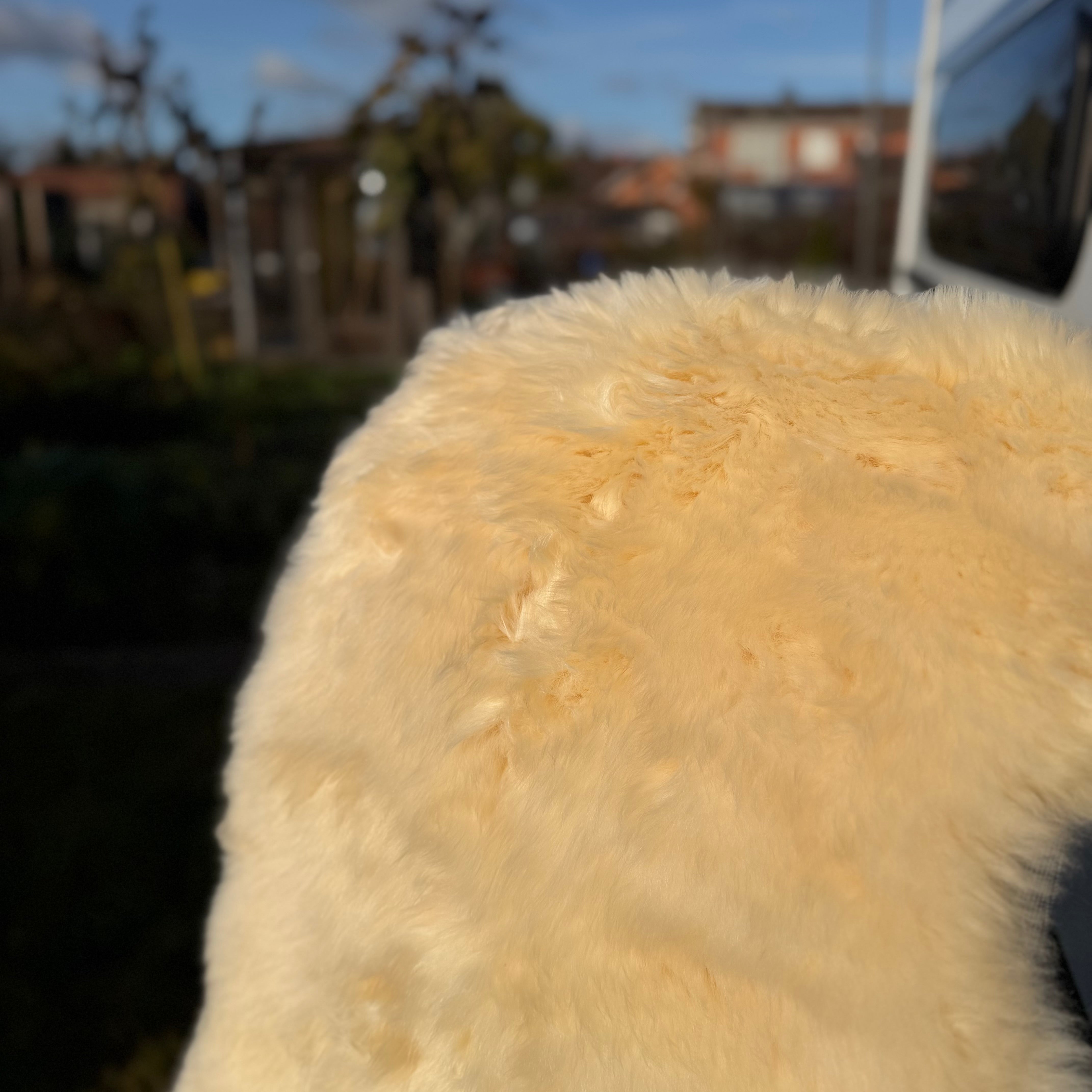 Hochwertiges Lammfell 140 x 68 cm