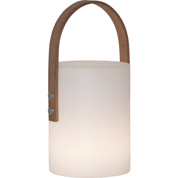 Portable LED lamp
