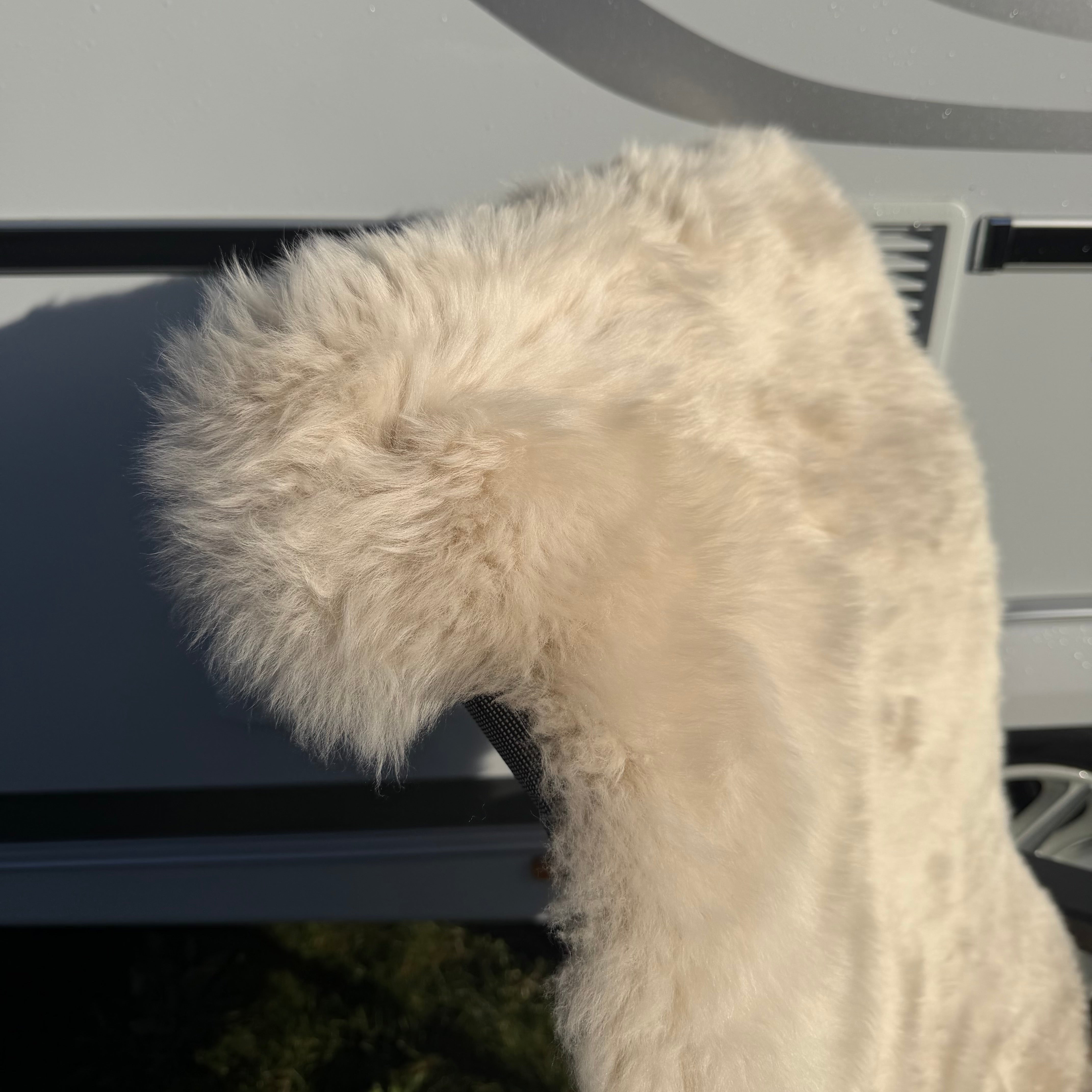 Hochwertiges Lammfell 140 x 68 cm