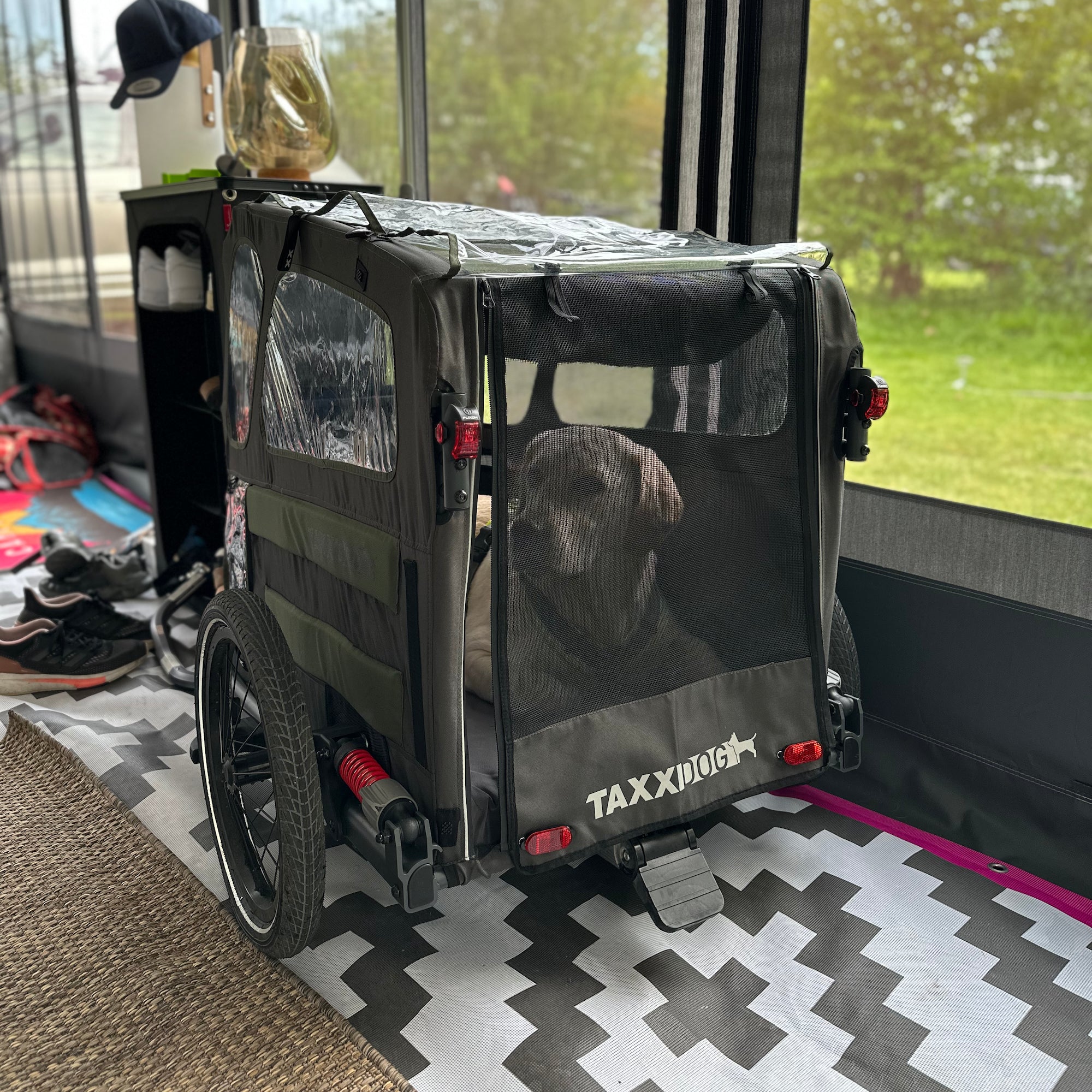 Fahrrad Hundeanhänger TaxxiDog mit Hund drinnen geschlossen