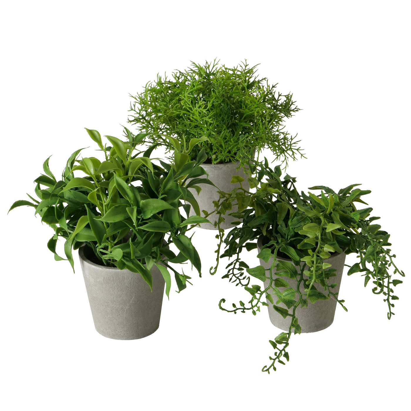 Potted succulent plant, set of 3