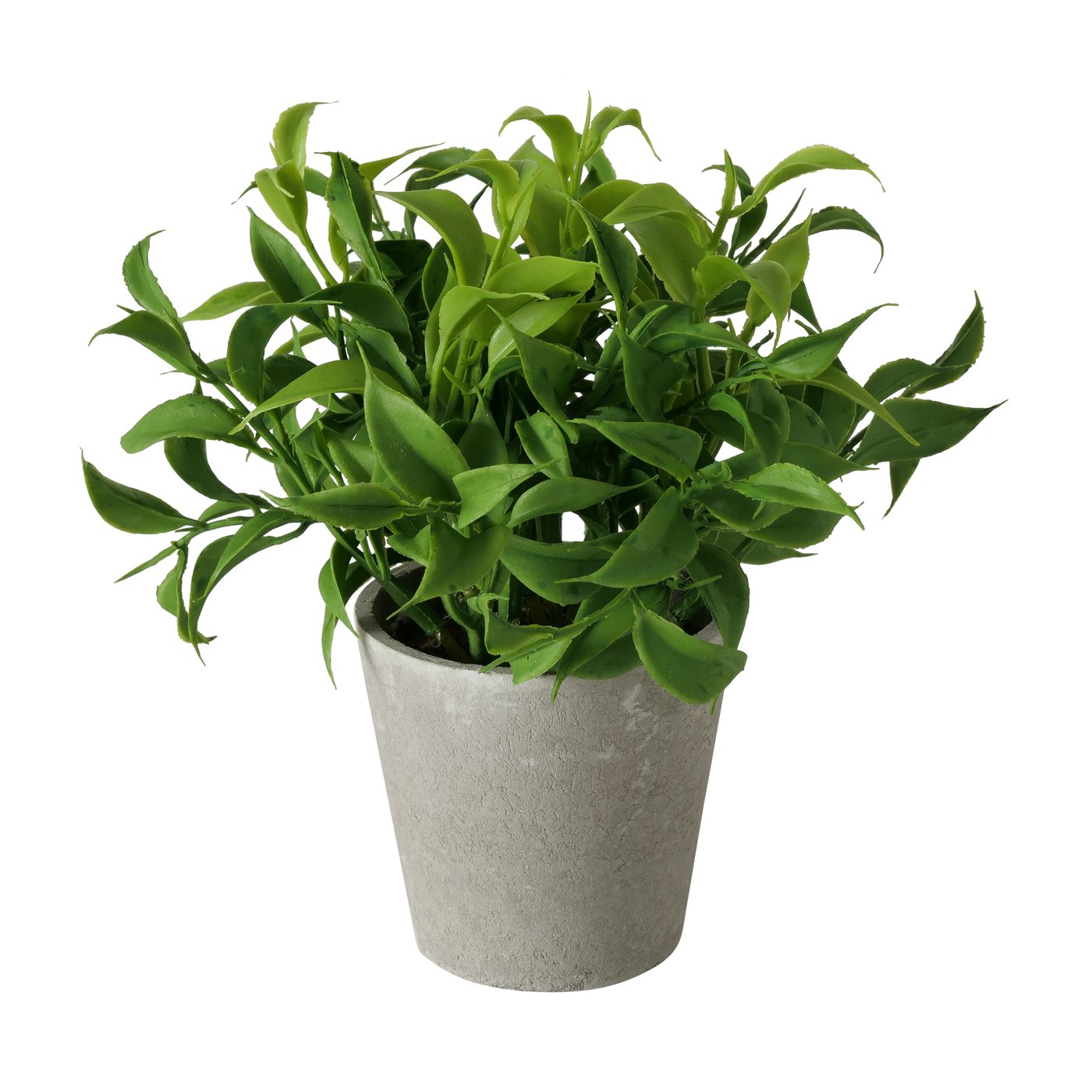 Potted succulent plant, set of 3