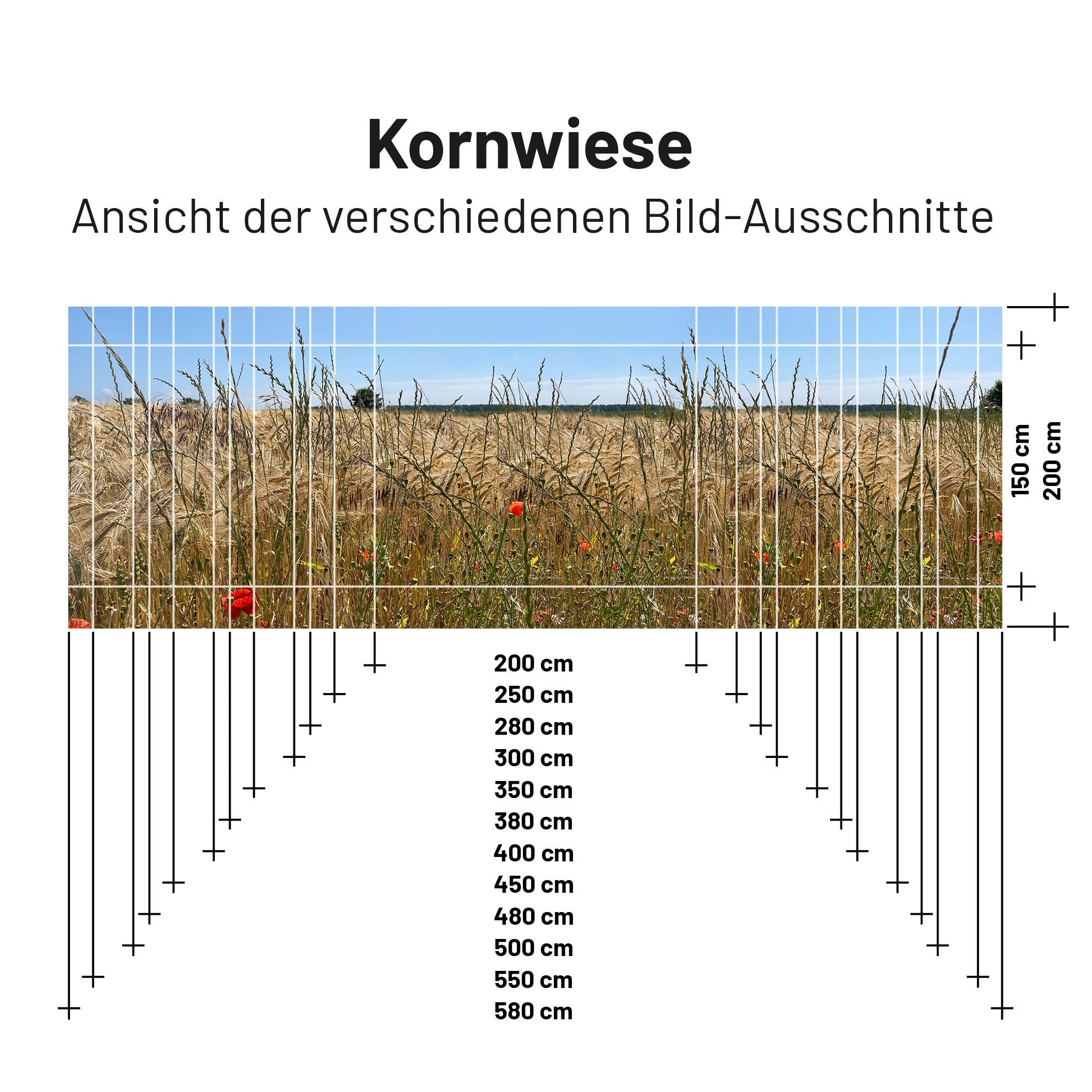 PVC Camping Sonnenschutz - Motiv KORNWIESE 150cm Hoch