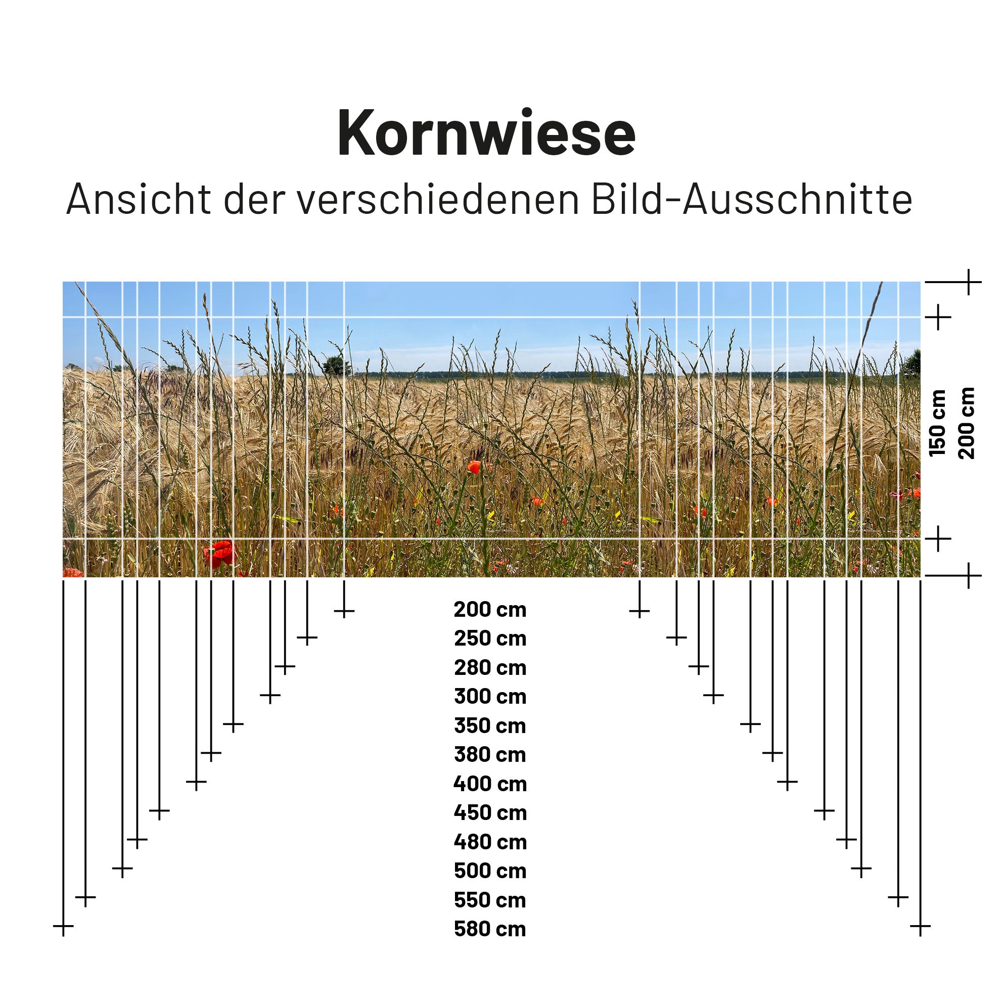 PVC Camping Sonnenschutz - Motiv KORNWIESE 200x300cm - Restposten