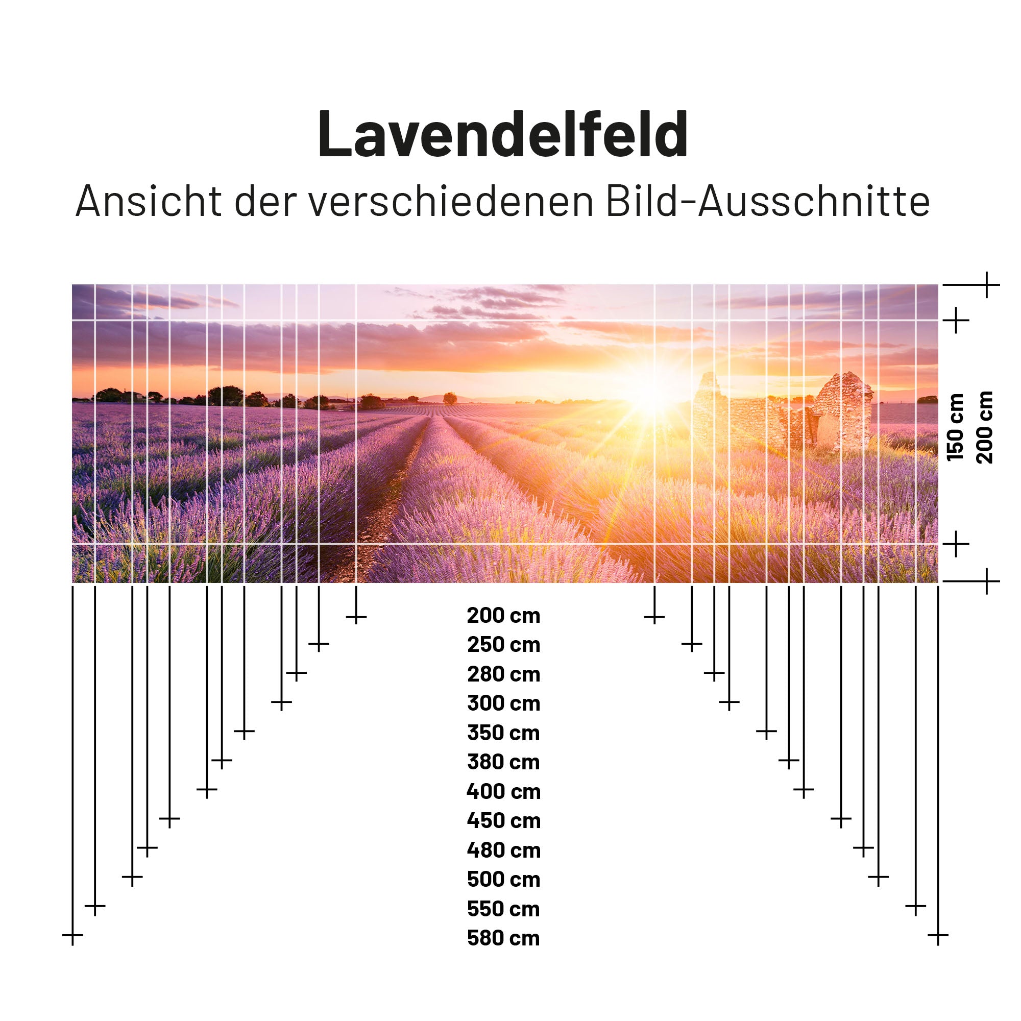 PVC Camping Sonnenschutz - Motiv LAVENDELFELD 150cm Hoch