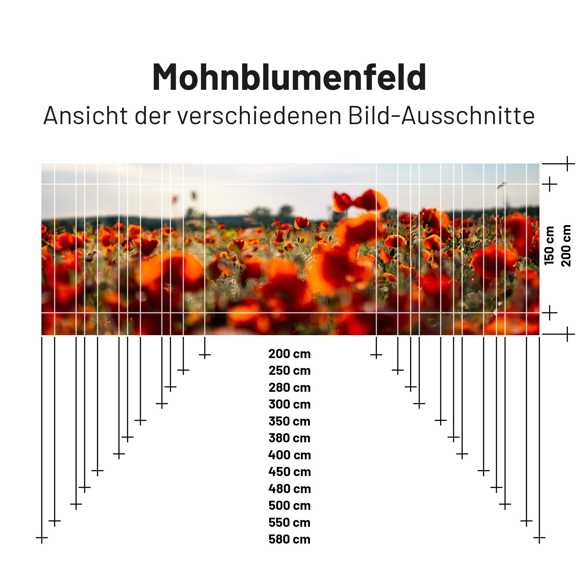 PVC Camping Sonnenschutz - Motiv MOHNBLUMENFELD 150cm Hoch