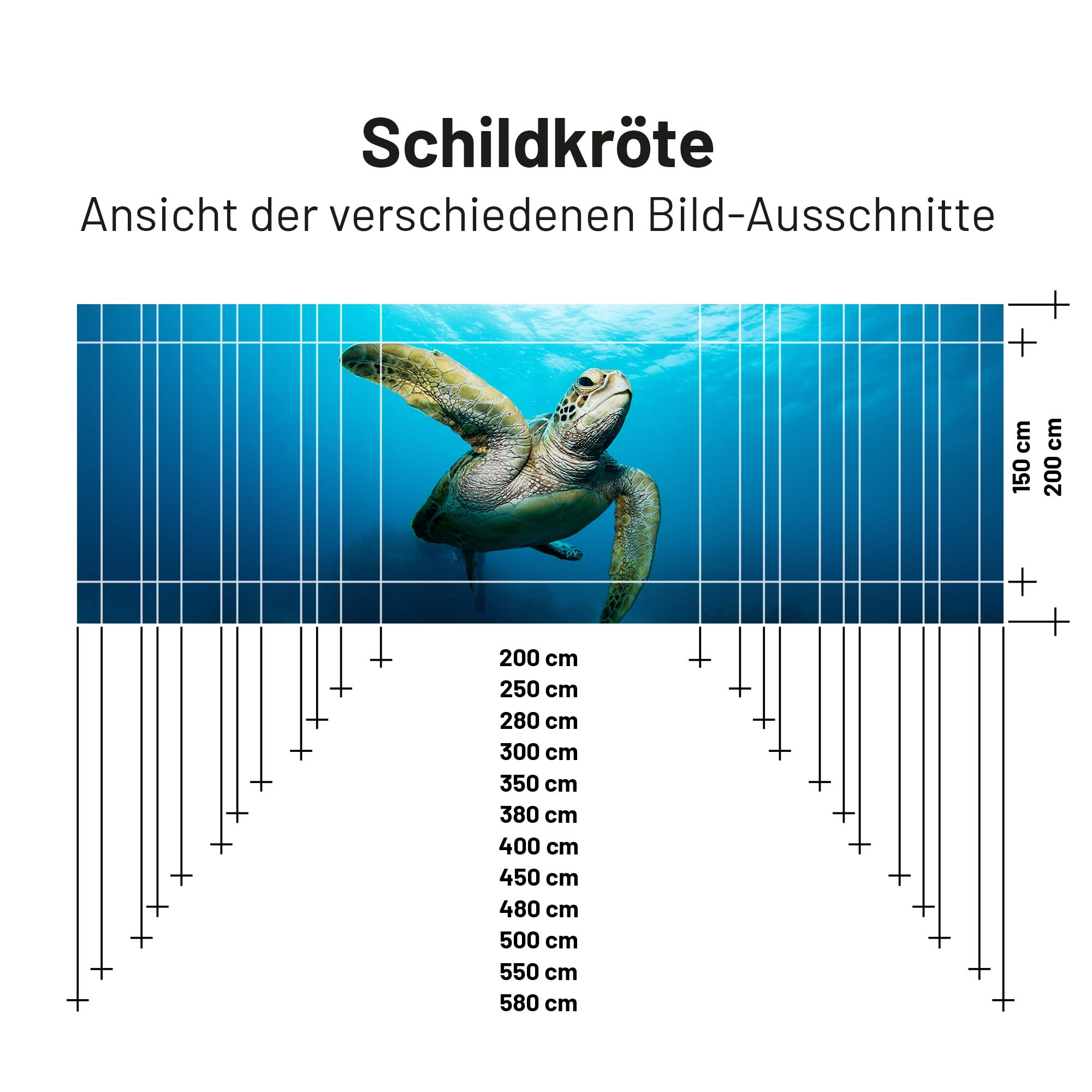 PVC Camping Sonnenschutz - Motiv SCHILDKRÖTE 150cm Hoch