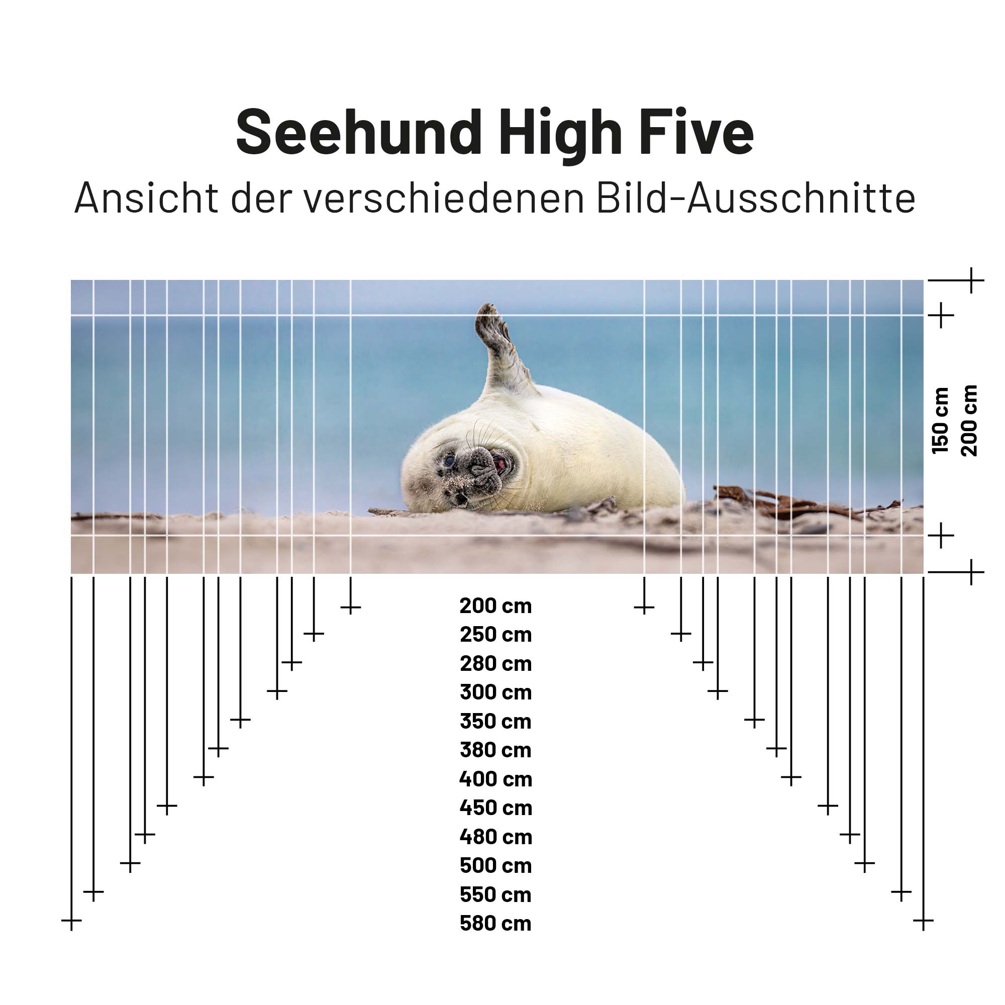 PVC Camping Sonnenschutz - Motiv SEEHUND HIGH FIVE 150cm Hoch