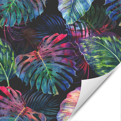 Möbelfolie Farbenfrohe Monstera
