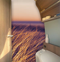 Wall film dune grass