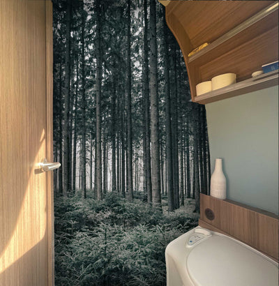 Wall film forest