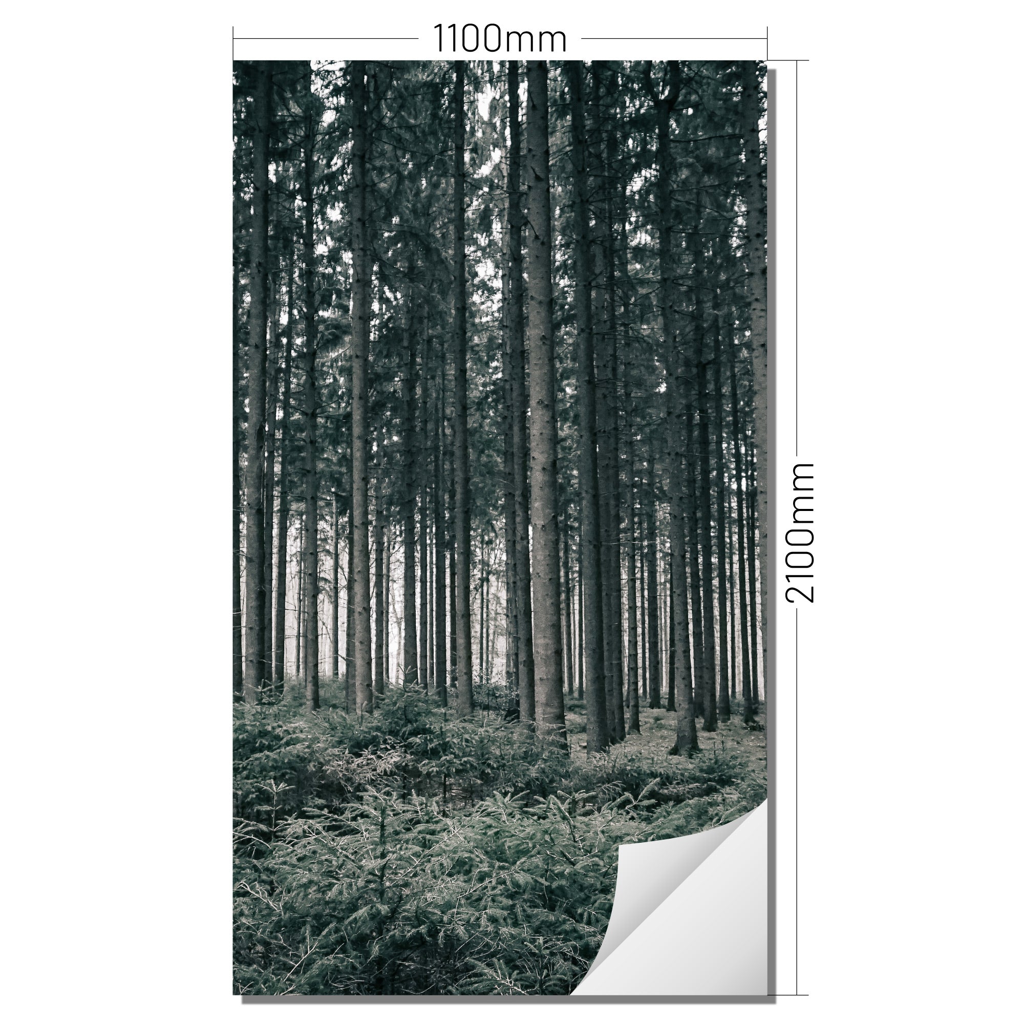 Wall film forest